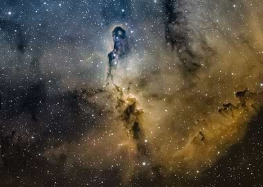 IC1396 Elephant Nebula