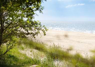 Sunny day on sandy beach