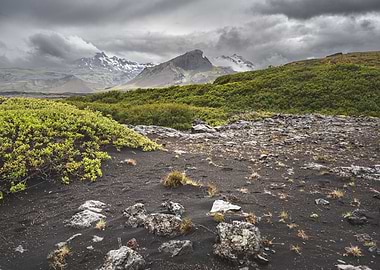 Icelandic landscape