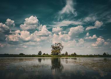 Cloudy Water Reflection