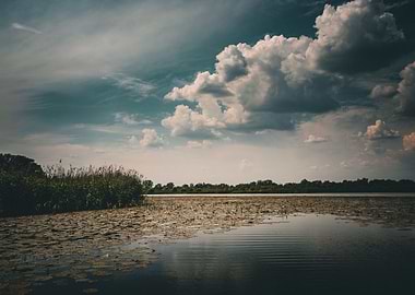 Lily Pond Under Clouds