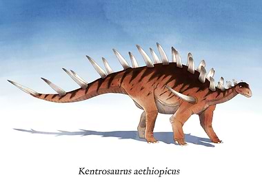 K is for Kentrosaurus