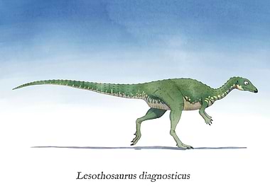 L is for Lesothosaurus