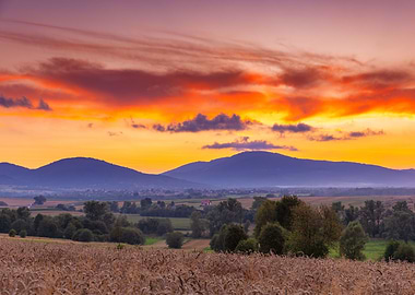 Colorful summer sunset