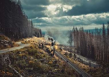 steam train and landscape