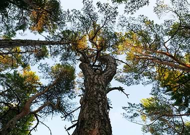 low angle photography of