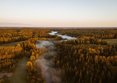 bird view of sunrise