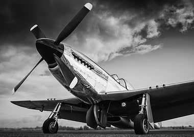 the p51