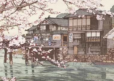 Cherry Trees at Hayase
