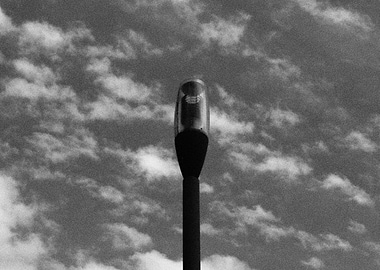 1984 and flying dogs