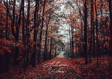 Autumn Vibes
