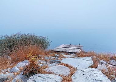 Foggy morning on the lake