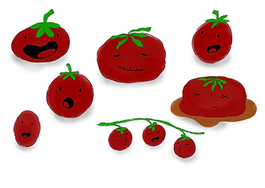 Funny Tomato Faces