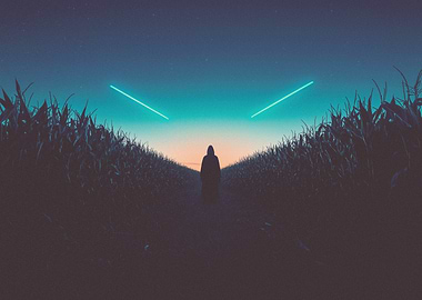 Sunset Cornfield Path