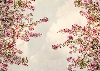 Pink Blossom Branches