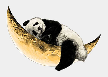 Panda Sleep Good Night