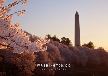 Washington DC