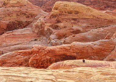 Valley Of Fire Landscape