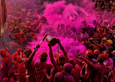 Holi Festival Celebration