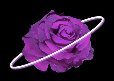 Purple Rose Planet