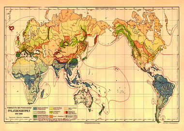 Poster Map Plant Groups of the Earth | Vintage Botany German