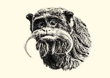 Emperor Tamarin Portrait