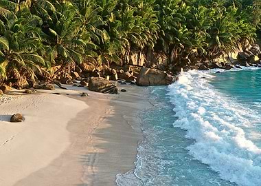 Tropical Beach Paradise