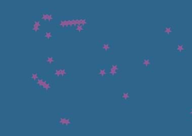 Pink Stars on Blue