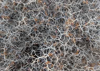 Thorny Bush Texture