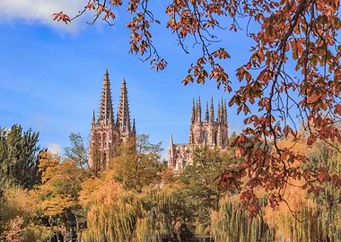 Cathedral Through Autumn Trees