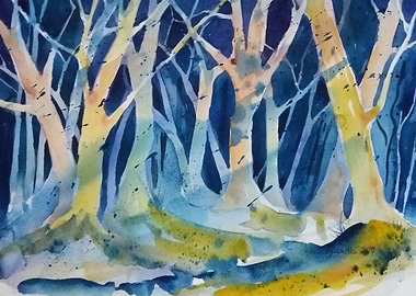 Watercolor Forest by Night