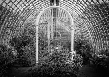 Greenhouse Interior