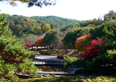 Autumn Park in Korea