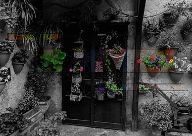 Doorway with Hanging Plants