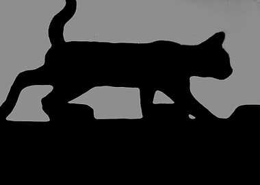 Black Cat Silhouette