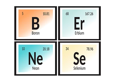 Bernese | Periodic Table Elements
