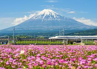 Mount Fuji &amp; Bullet Train