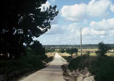 Country Road Landscape