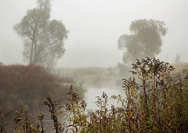 Misty River Scene