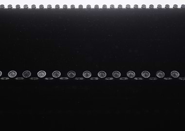 Japanese Temple Roof with Ornamental Details