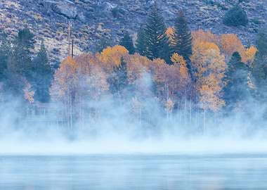 Misty Lake Landscape