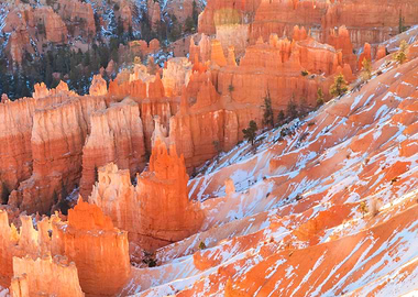 Bryce Canyon Hoodoos