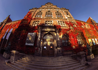 Old Building with Ivy