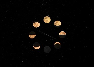moon cycle