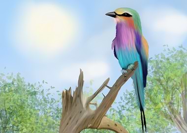 Rainbow Bird on Branch