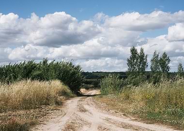 Countryside Dirt Road