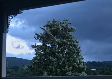 Imposing Dark Knowing Tree