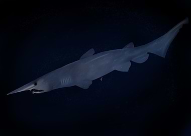 Goblin Shark in Deep Sea