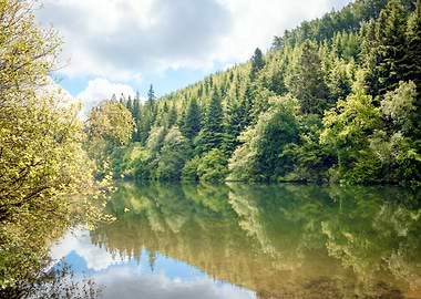 Forest Lake Reflection