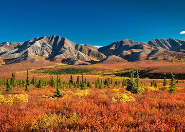 Autumn Mountain Landscape